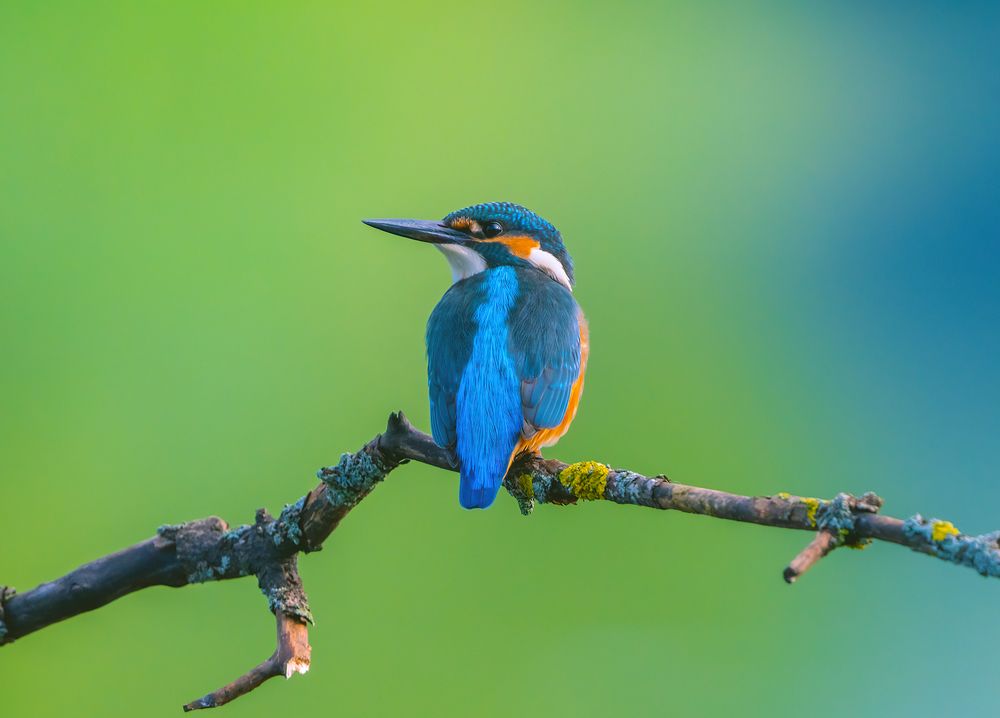 Photograph by Игорь Кляхин