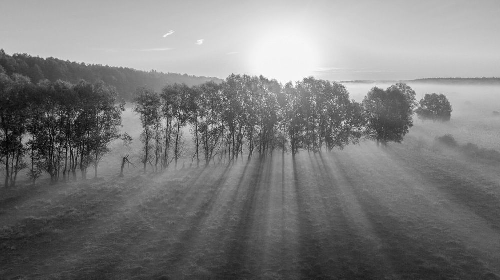 Photograph by Сергей Фаренюк