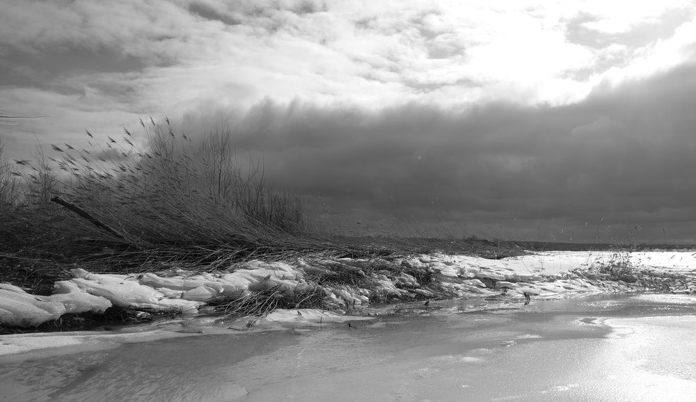 Photograph by Людмила Железнова