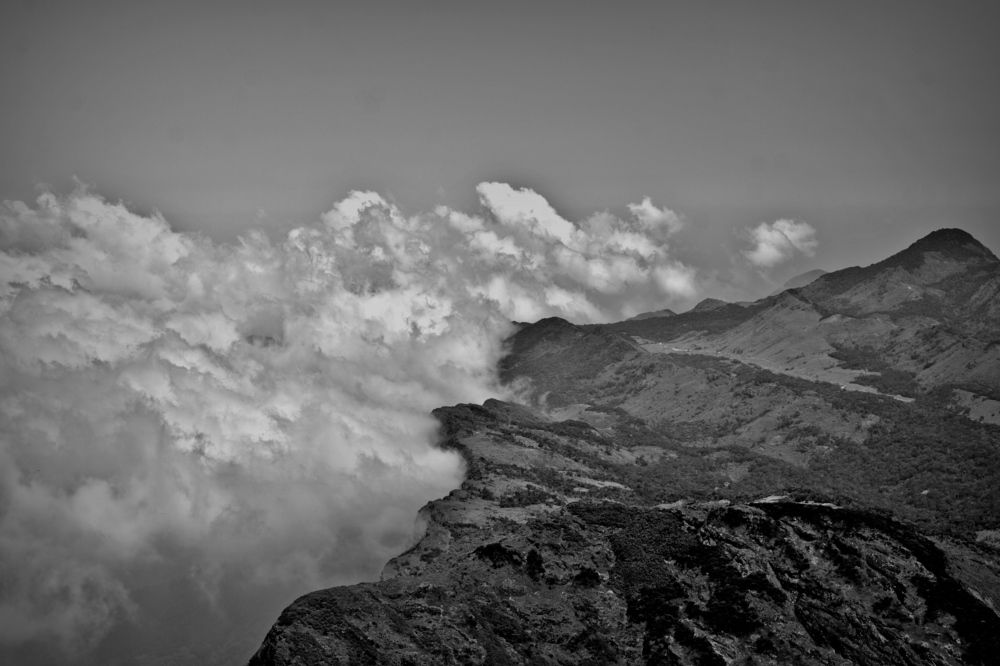 Photograph by Rajesh KP