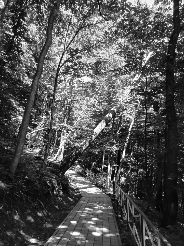 Photograph by Татьяна