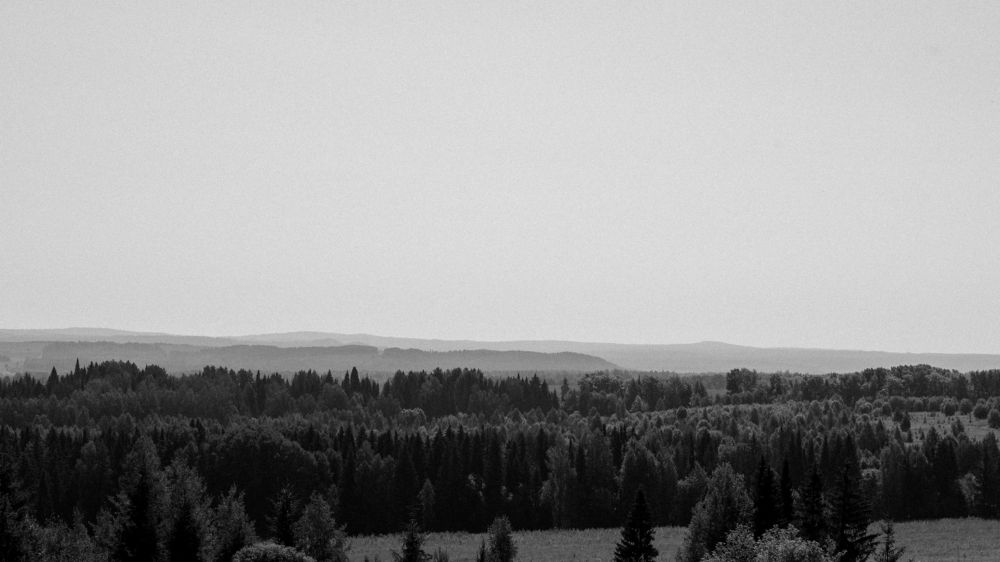 Photograph by Константин Михайлов