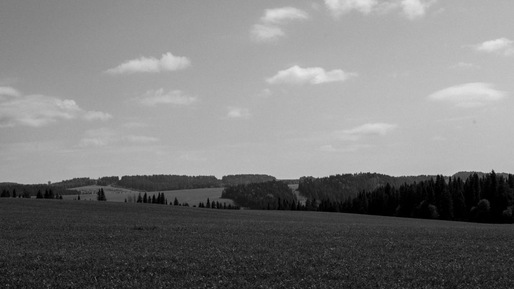 Photograph by Константин Михайлов