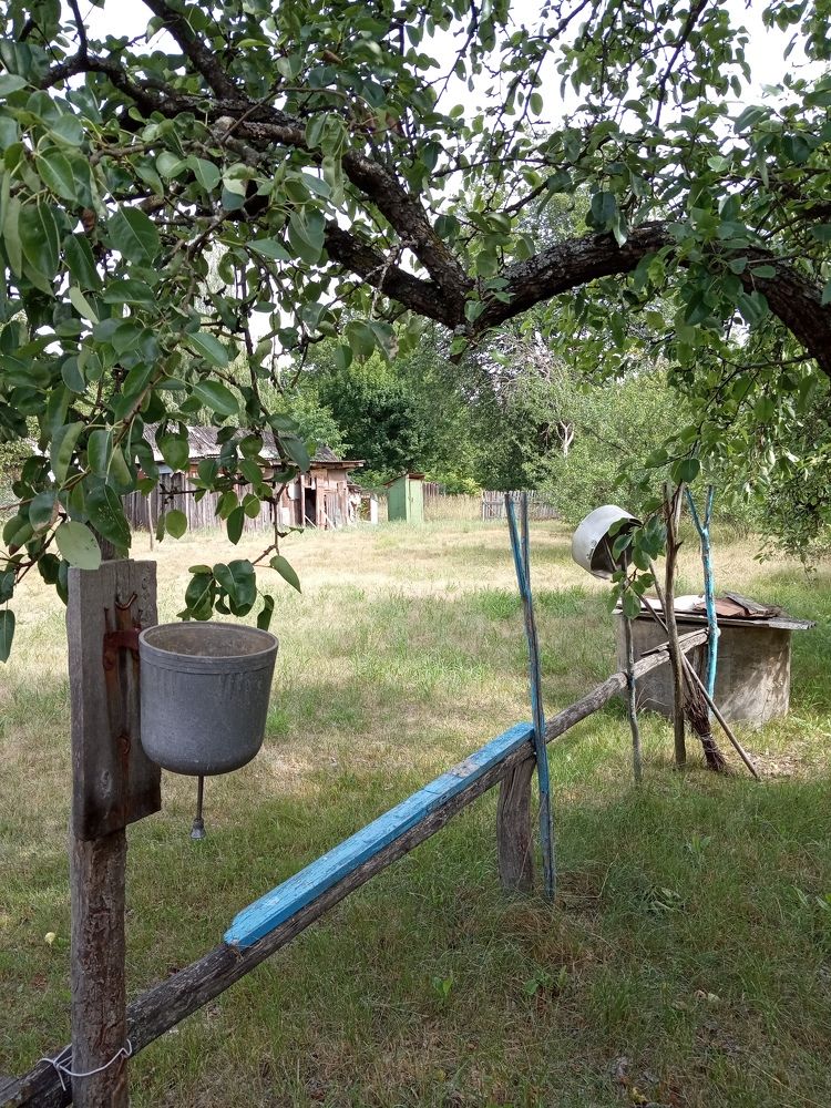 Фотография автора Наталья Изотова