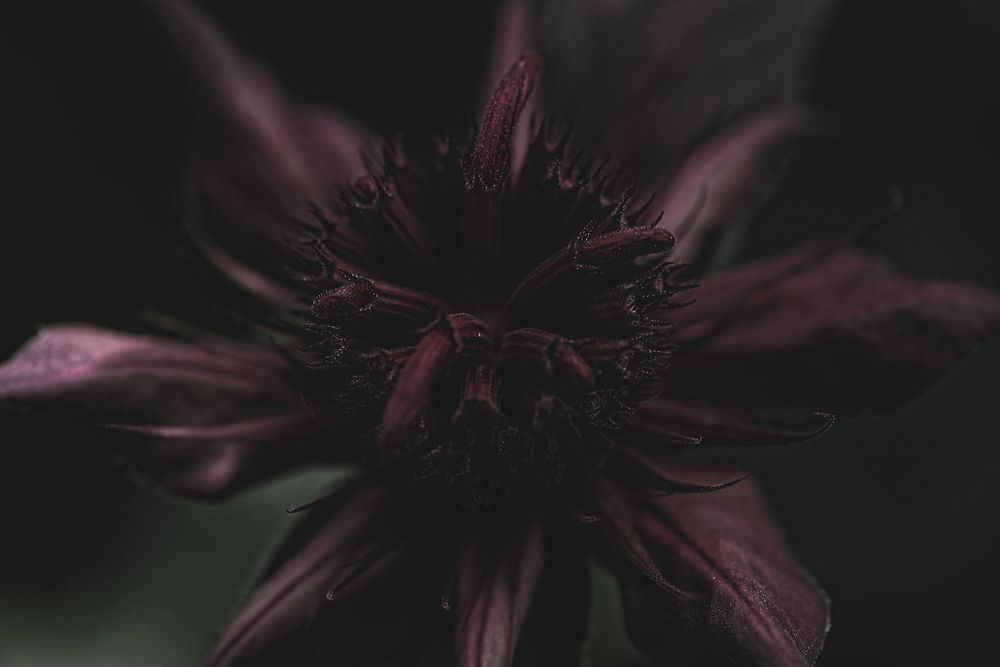 Photograph by Aleksei Degtjarjov