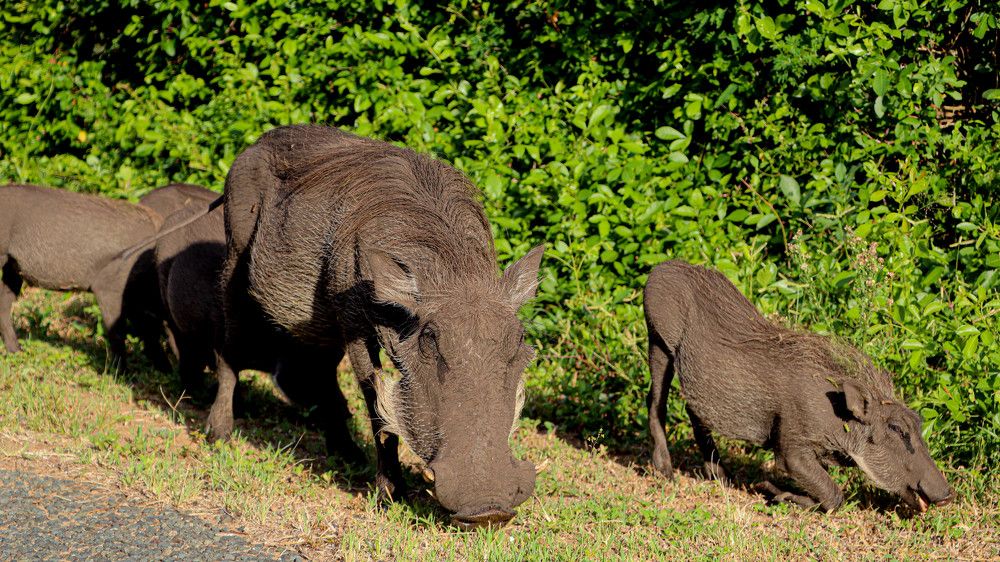 Photograph by Manono Photography