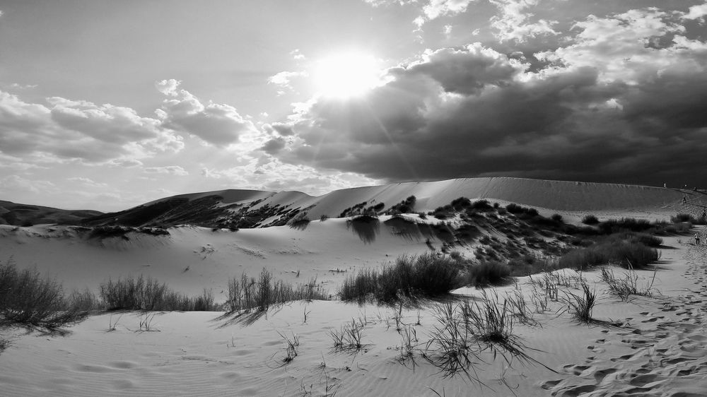 Photograph by Ксения Тодорец