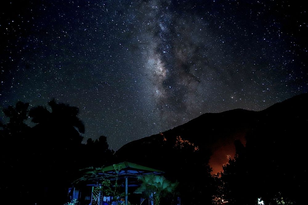 Photograph by Frank Cobo.blanco