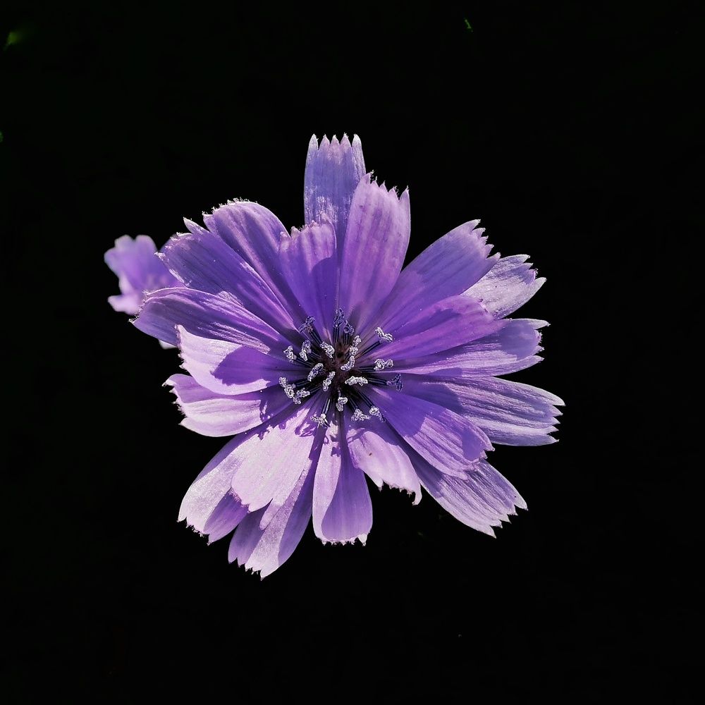 Photograph by 