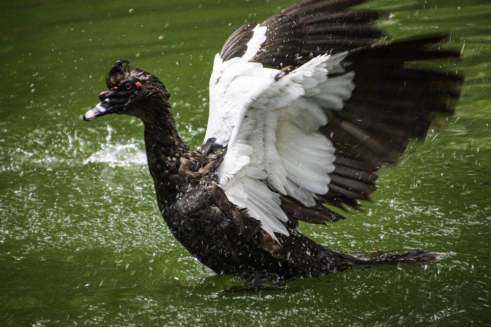 Photograph by Eduardo Vega