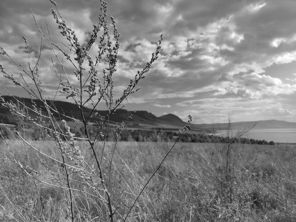 Photograph by Сергей Подлевский