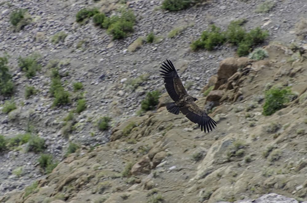 Photograph by Eduardo Vega