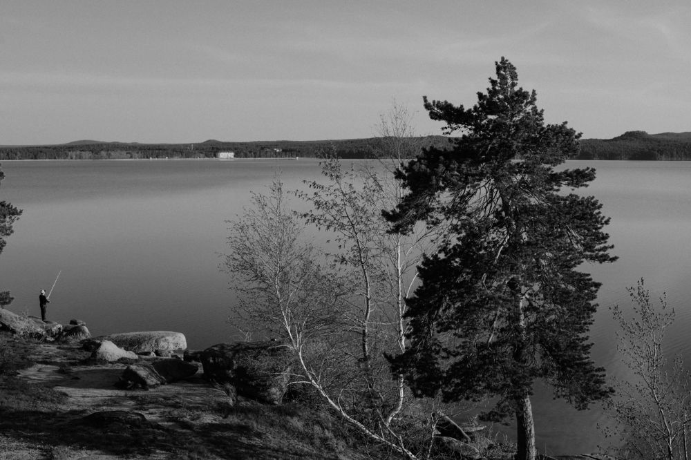 Фотография автора KattyFox