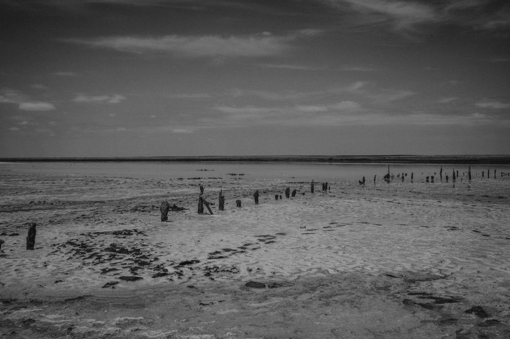 Photograph by Ксения Кузнецова