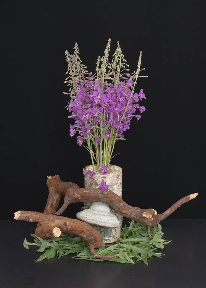 Photograph by Николай Чичерин