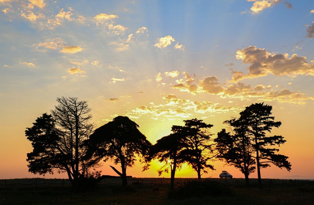 Photograph by Алена