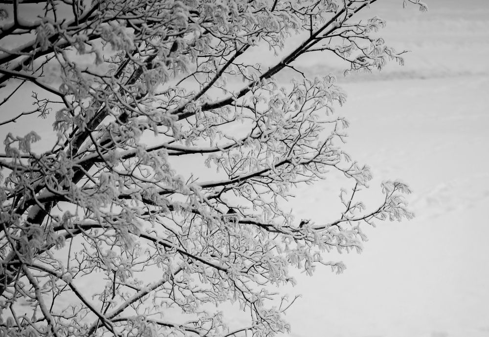 Photograph by Татьяна Мазепова