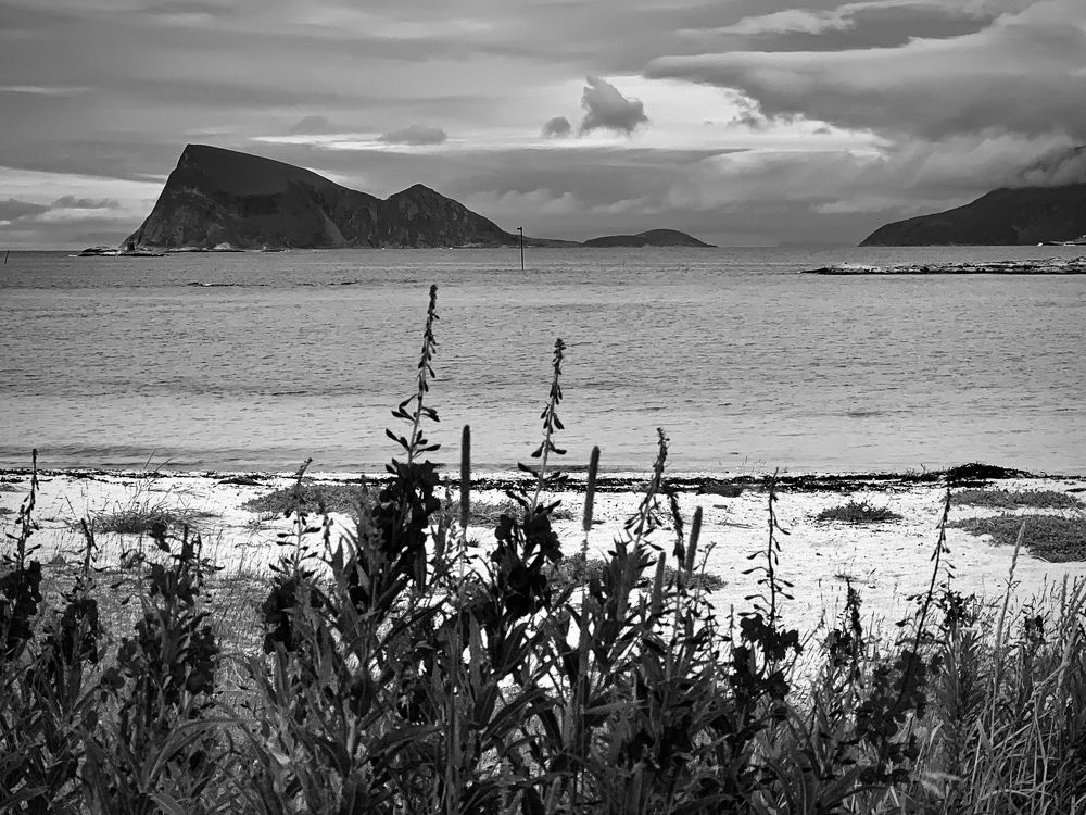 Photograph by Olga Bakke