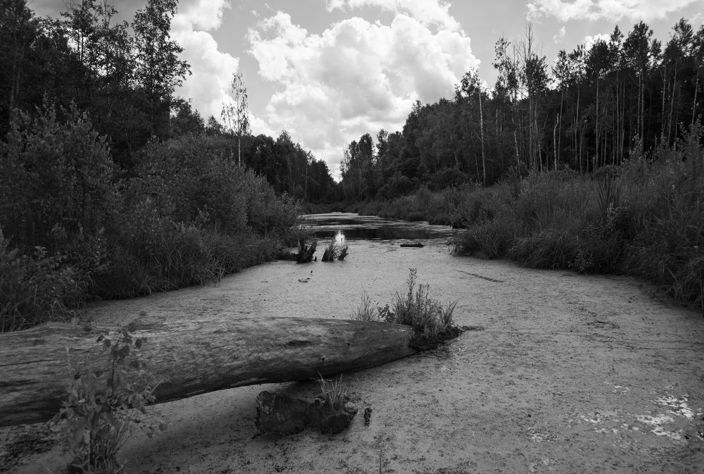 Photograph by Лана