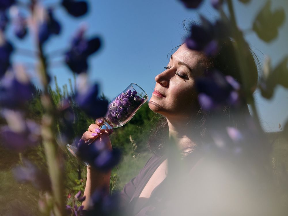 Photograph by Михаил Бронников