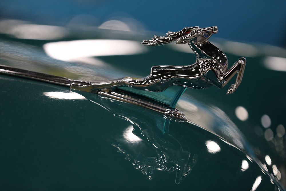 Photograph by Унку Юрий