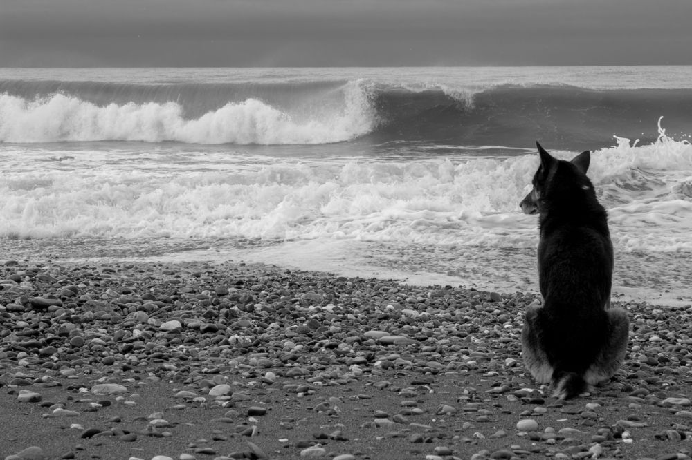 Photograph by Ольга Абрамова