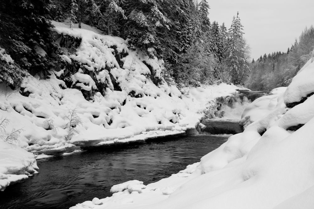 Photograph by Ольга Абрамова