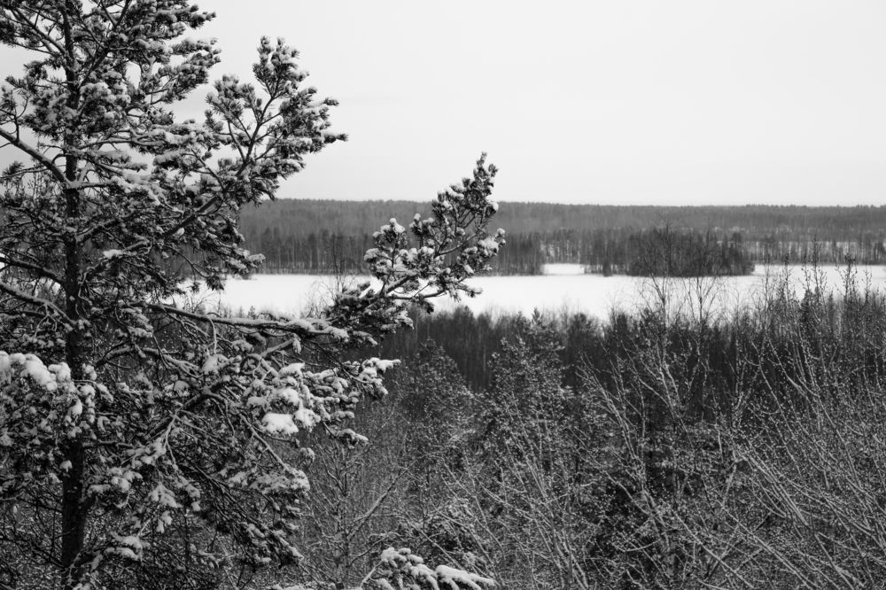 Photograph by Ольга Абрамова