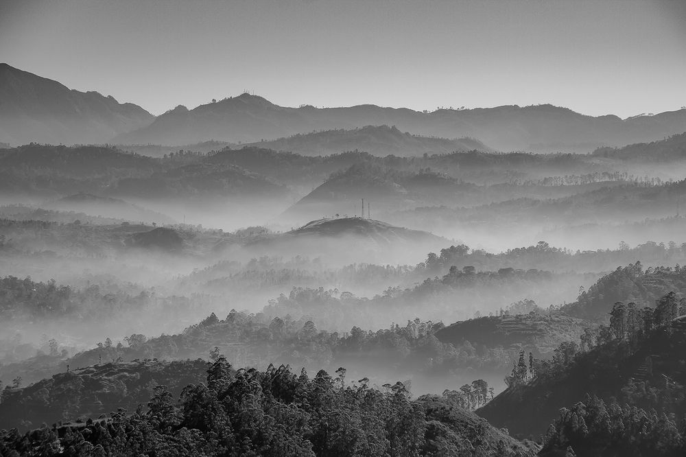 Фотография автора Ravindu Heshan Weerasinghe Pathirana