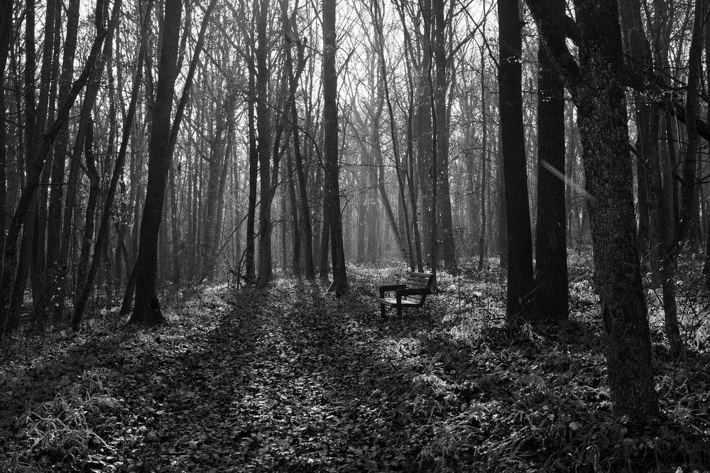 Photograph by Олег Чубайкин