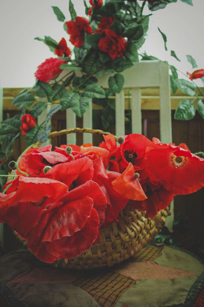 Photograph by Астафьев Андрей