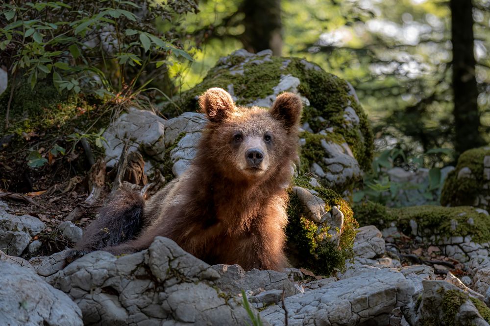 Photograph by Olena Pfister