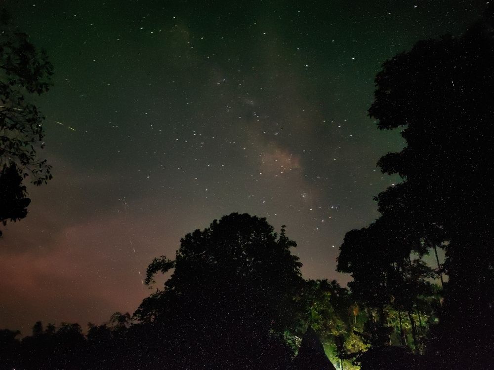 Photograph by Utpal Roy