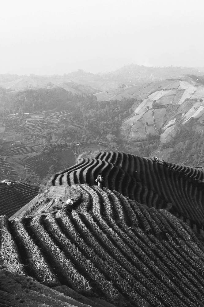 Фотография автора Ib Mang