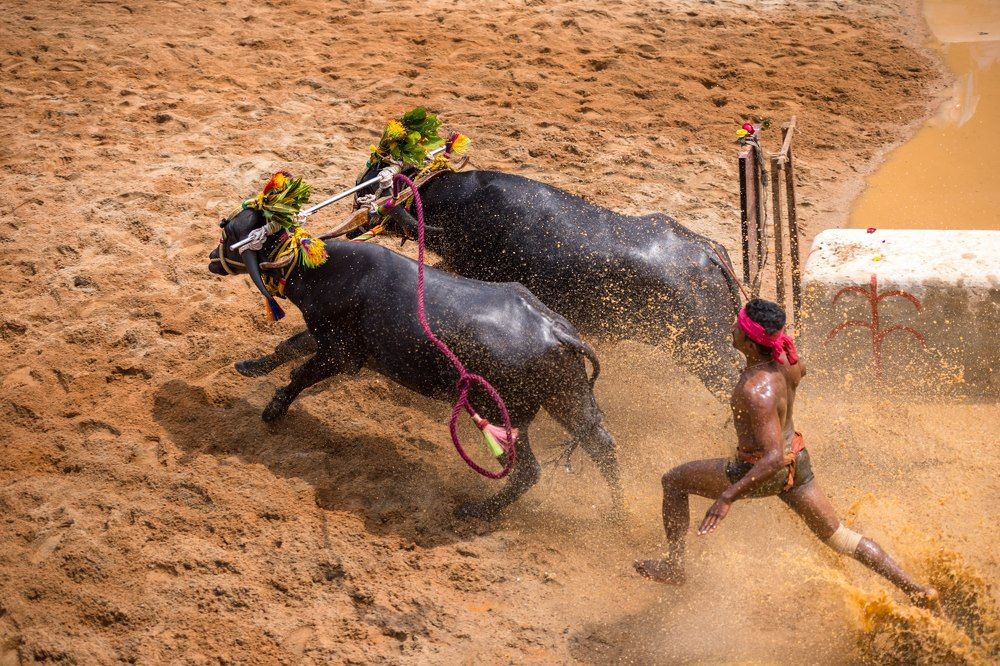 Photograph by Ranjith Kumar