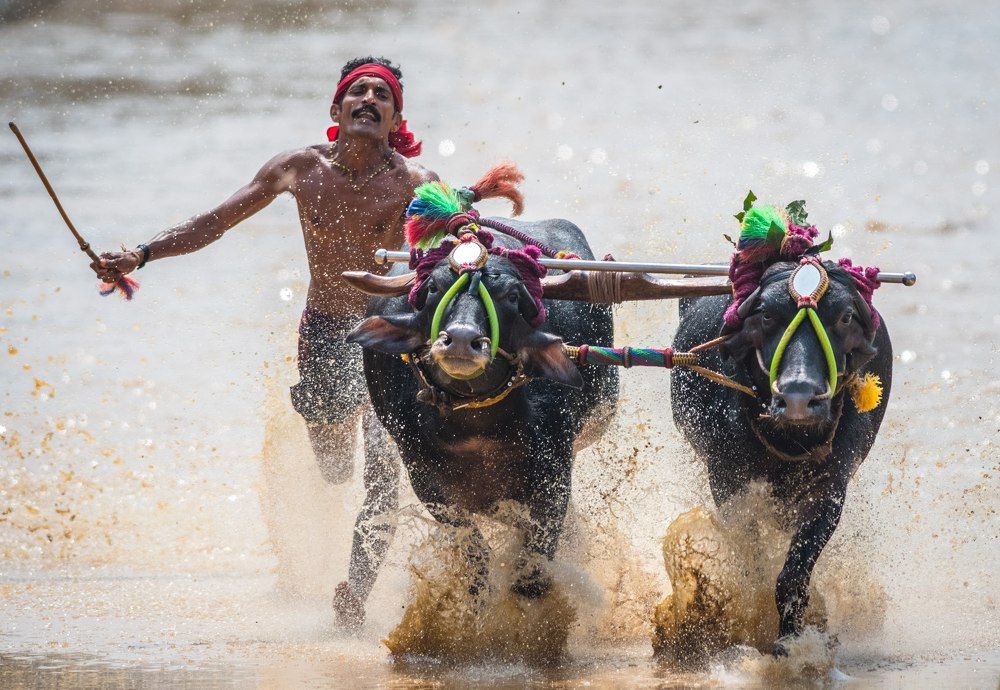 Фотография автора Ranjith Kumar