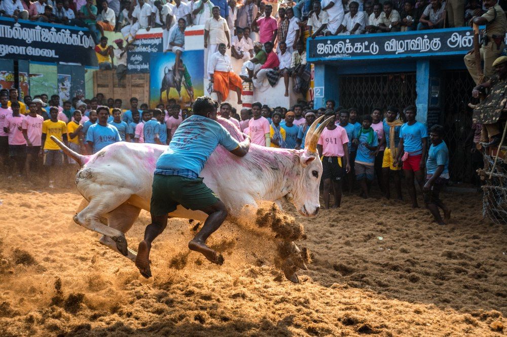 Photograph by Ranjith Kumar