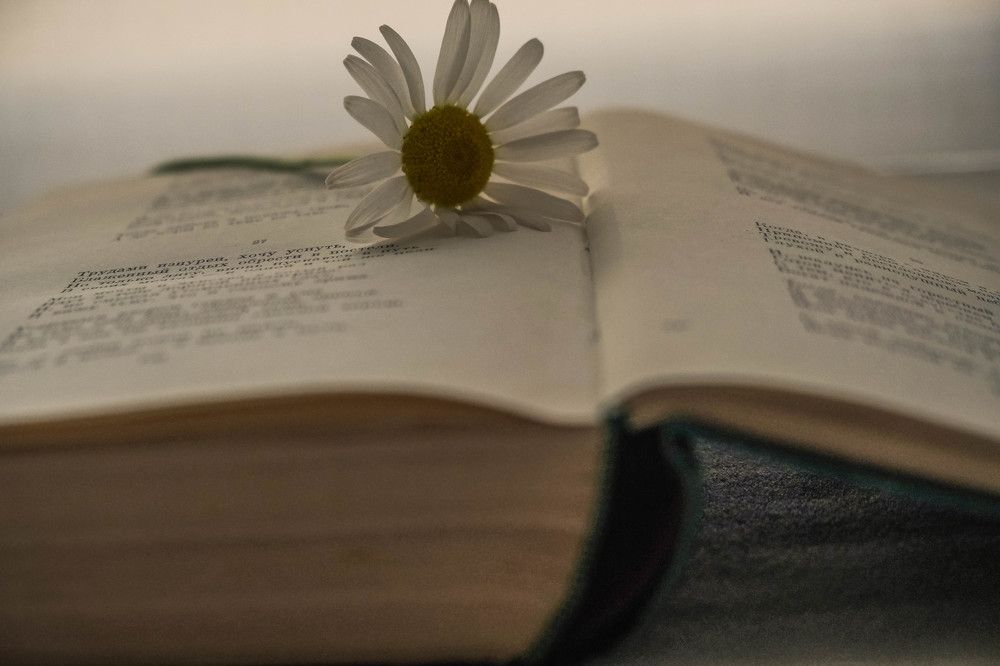 Фотография автора Ольга Забрянская