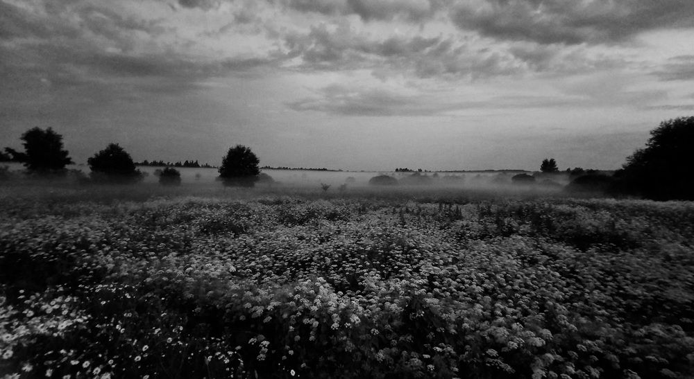 Photograph by Ольга Михайлова