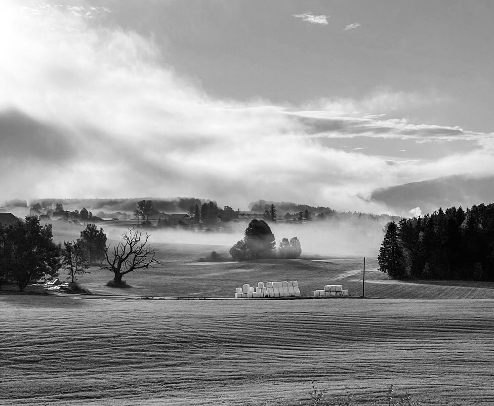 Фотография автора Anna NovaLova