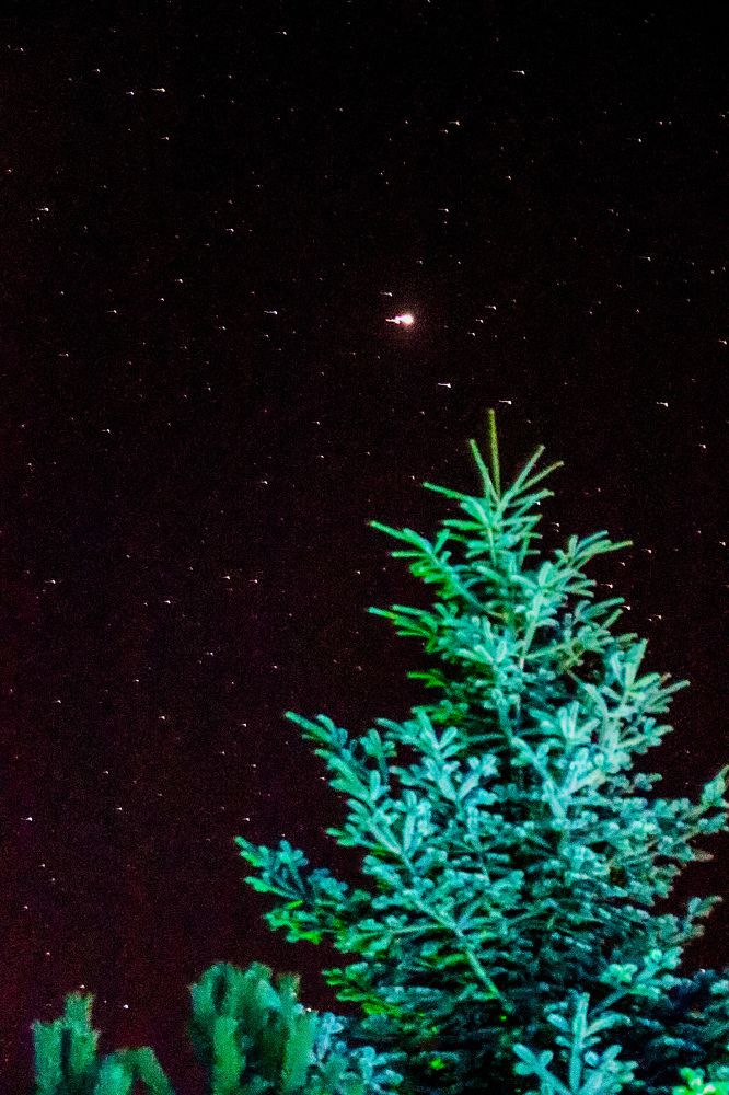 Photograph by Оксана Сафина