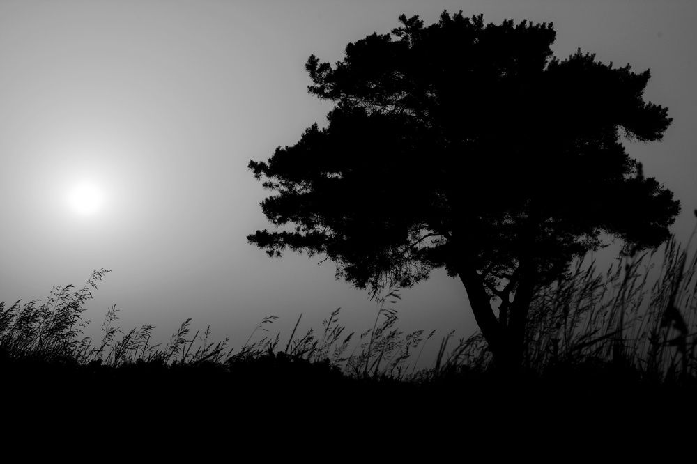 Фотография автора Андрей Врубель