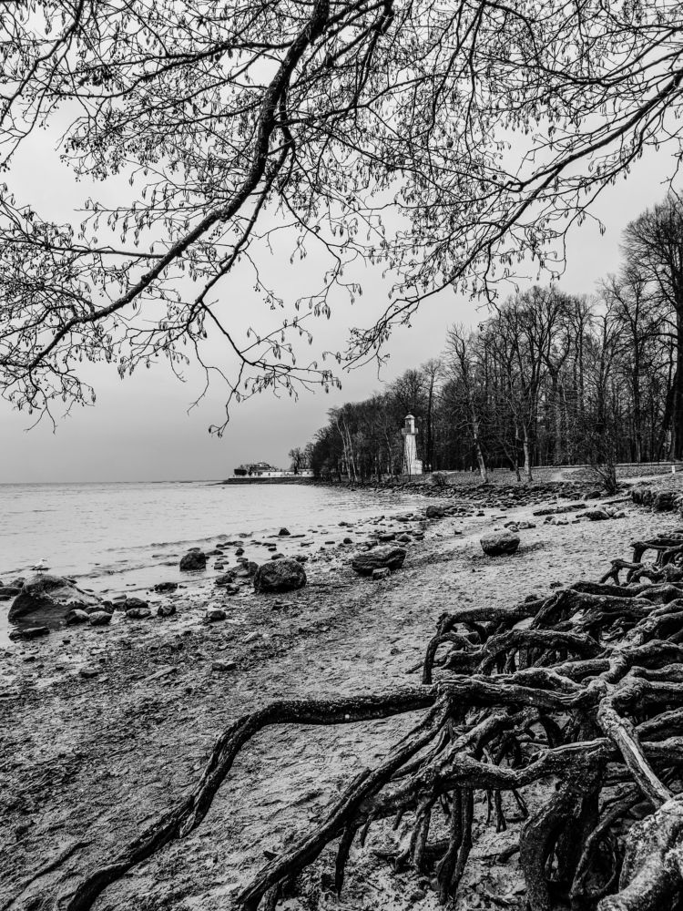 Photograph by Olga Royanova