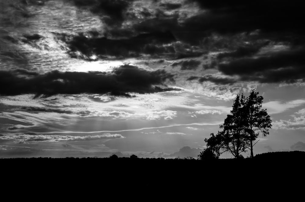 Photograph by Kveta Novotna