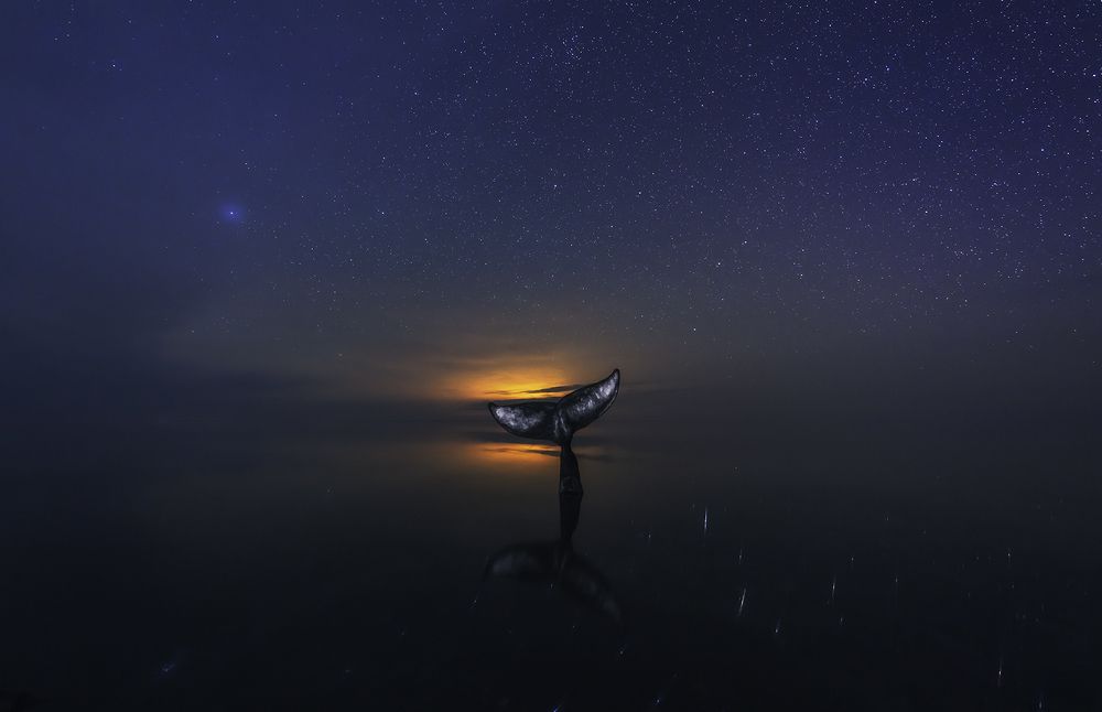 Photograph by Игорь Кляхин