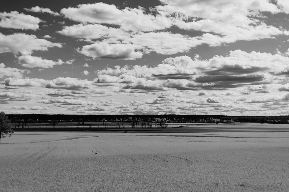 Photograph by Maria Fedorova