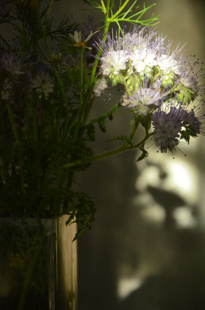 Photograph by Valentina