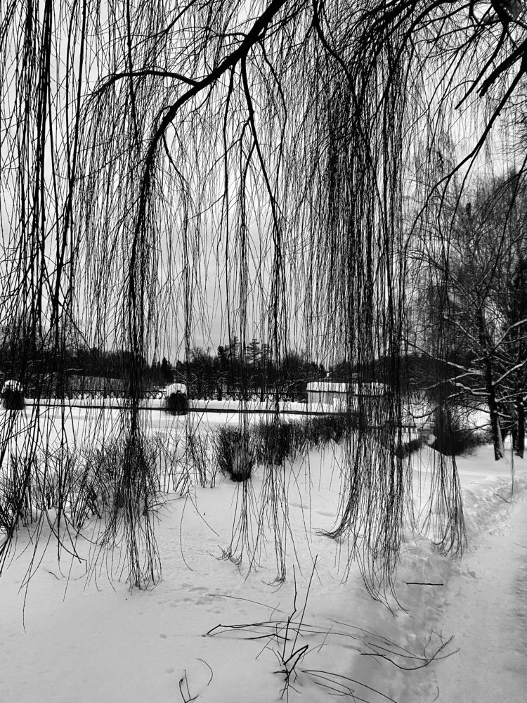 Фотография автора Galina Sa