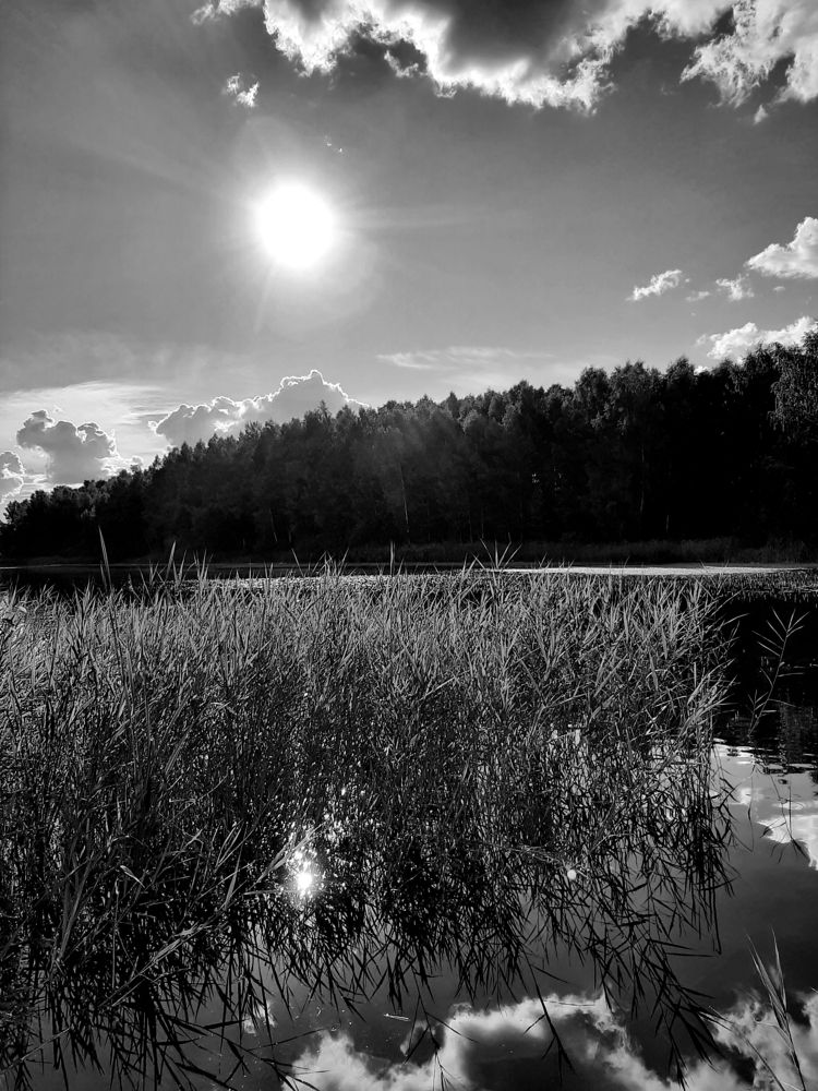 Photograph by Наталья Шехова