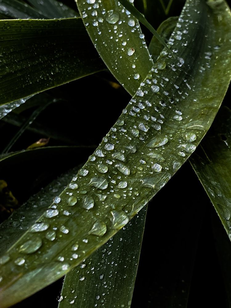 Photograph by Александр Воронов